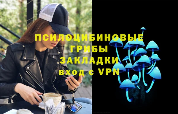 молекула духа Володарск