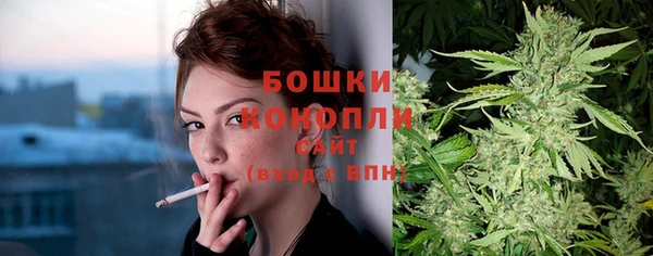 молекула духа Володарск
